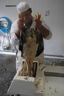 Cleaned: Plumage of Ducks in the machine