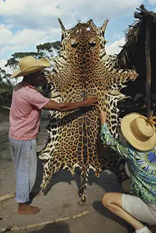 Selling: Poacher Selling Jaguar Skin to Tourist