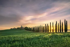 D Orcia: Poggio Covili estate with cypress (Cupressus) avenue