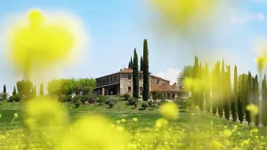 D Orcia: Poggio Covili estate, flowering rape field and cypresses