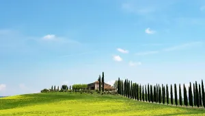 D Orcia: Poggio Covili estate, flowering rape field and cypresses