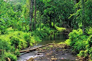 Pohnpei: Pohnpei Island Micronesia