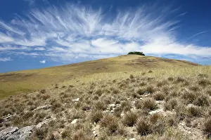 Cirrus: Poike Peninsula at the northeast tip of the island