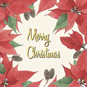 Borders: Poinsettia pattern