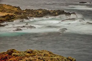 Surf: Point Lobos, Carmel, California