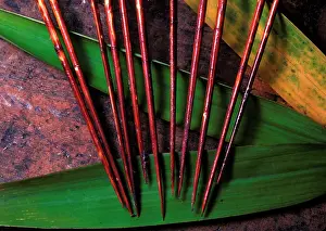 Bamboos: Poisoned Darts - made from Bamboo
