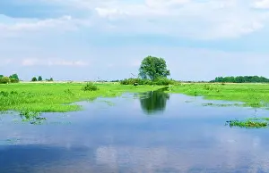 Biebrza: POLAND - Biebrza Marsh