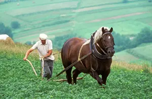 Bridles: Poland - Farmer working on land with horse