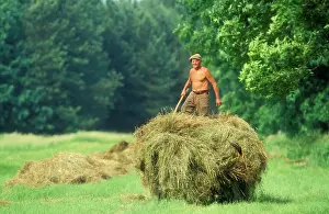 Wagon: POLAND - Hay wagon with man on top