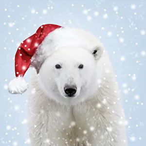 Snowflakes: Polar Bear