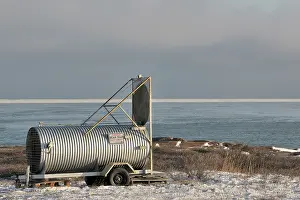 Bait: Polar Bear