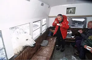 Encroachment: Polar Bear - head through van window, with researchers