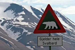Adventdalen: Polar Bear warning sign with snow-covered mountains in the b