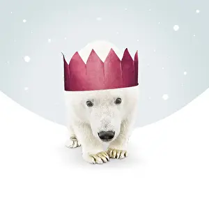 161118: Polar Bear, wearing Christmas hat in illustrated