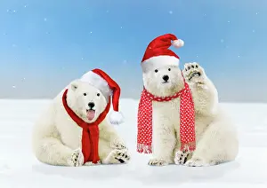 Scarf: Polar Bear two young bears wearing Christmas hats