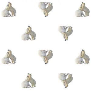 Textile: Polar Bears