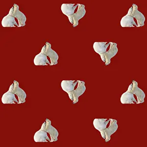 Textile: Polar Bears