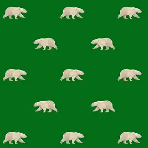 Designs: Polar Bears