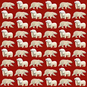 Designs: Polar Bears
