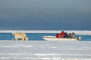 Photographers: Polar Bears - boat with photographers to observe