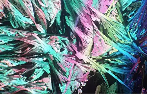 Emma Coghlan: POLARISED LIGHT - Paranitrobenzyl chloride, x5 magnification