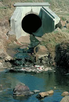 Dumping: Polluted storm drain