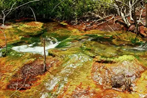 Drainage: Polluted Stream