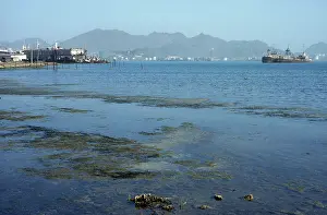 Docks: Pollution - abandoned docks and rusting barges