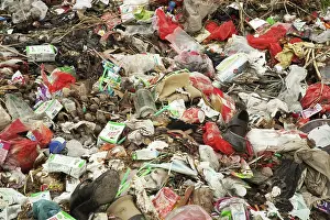 Refuse: Pollution in China