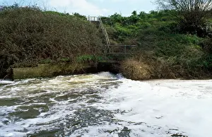 Foaming: POLLUTION - Foaming Sewage outfall