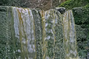 Slurry: Pollution of mountain stream with slurry