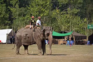 Environments: Polo Elephant back - Royal Bardia NP Nepal Terai