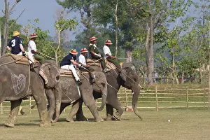 Environments: Polo Elephant back - Royal Bardia NP Nepal Terai