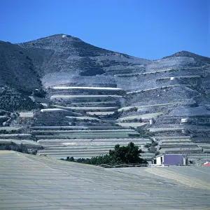 Almeria: Polythene vegetable houses