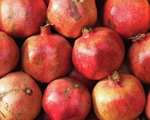Punica: Pomegranate