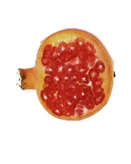 Punica: Pomegranate