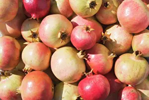 Punica: Pomegranate