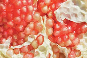 Punica: Pomegranate