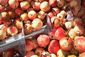 Punica: Pomegranate