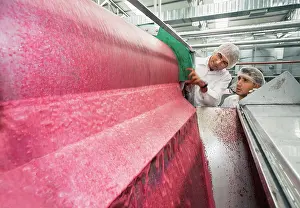 Leadership: Pomegranate