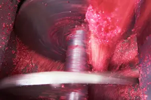 Punica: Pomegranate