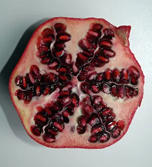 Punica: Pomegranate fruit in transverse section