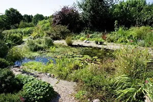 Attractive: Pond - Attractive ecological garden pond