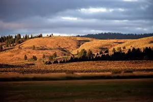 Ranches: Ponderosa Ranch - Seneca - Oregon - USA
