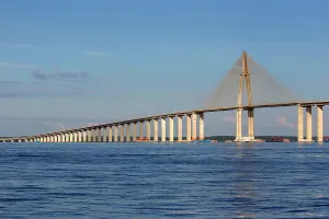 Suspension: Ponte Rio Negro (Manaus Iranduba Bridge) crossing