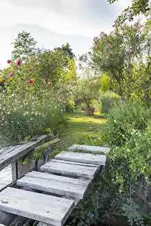 Pontoon: Pontoon leading to a small garden, summer, Provence