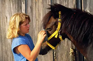 Hans D Dossenbach: Pony - girl cleaning eye with damp sponge