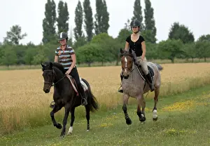 Ride: Pony trekking in the countryside - France
