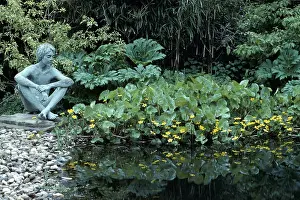 Statues: POOL AT DENMAN'S