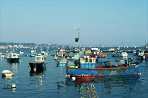 Poole: Poole Harbour, Dorset